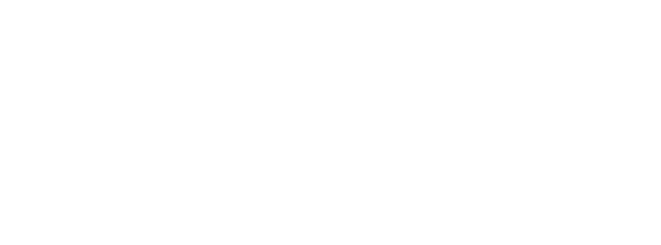Davidson Avionics